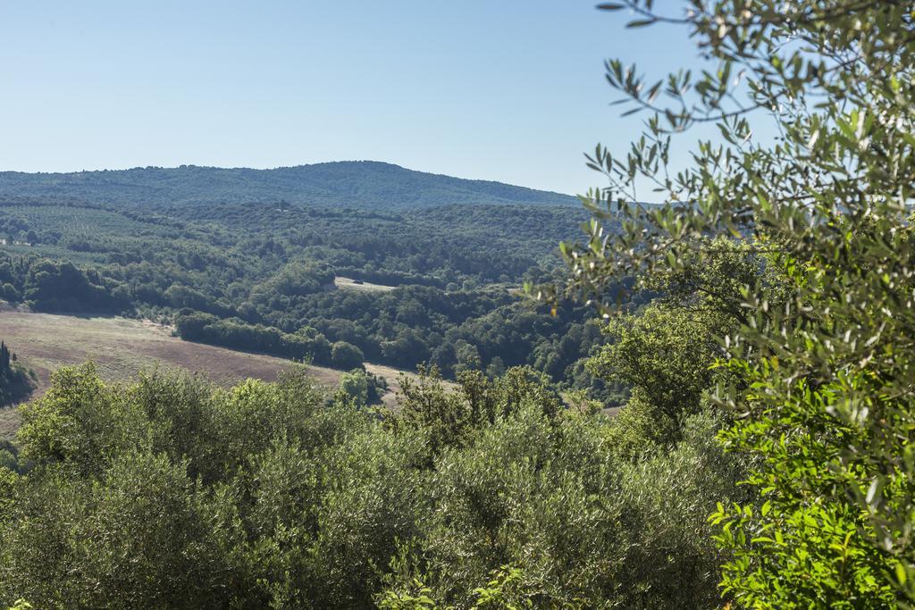 Casale Degli Ulivi Ξενοδοχείο Rapolano Terme Εξωτερικό φωτογραφία