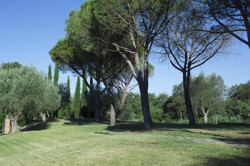 Casale Degli Ulivi Ξενοδοχείο Rapolano Terme Εξωτερικό φωτογραφία
