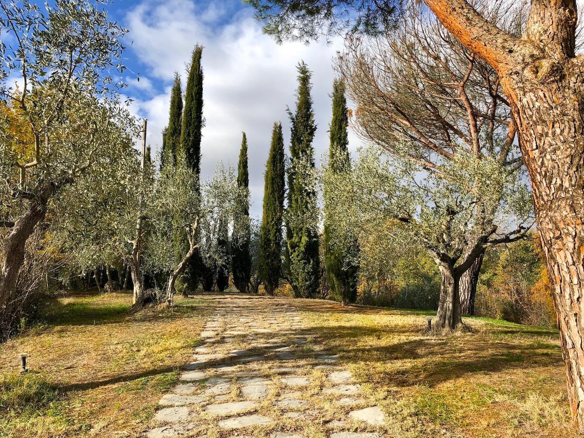 Casale Degli Ulivi Ξενοδοχείο Rapolano Terme Εξωτερικό φωτογραφία